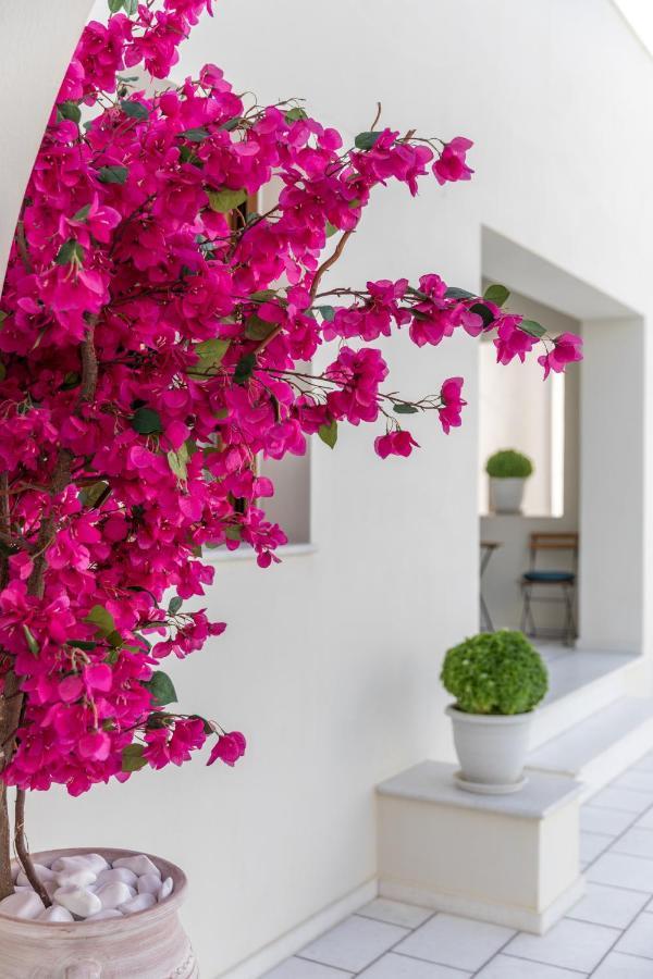 شقة 100 Steps - Harmony Naxos City المظهر الخارجي الصورة